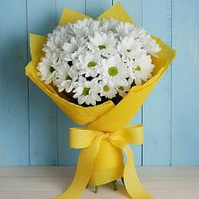 Букет цветов из:  Хризантемы в Константиново Сергиево-Посадского района
