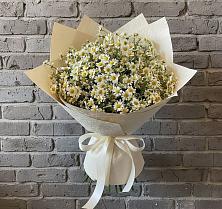 Букет цветов из:  Ромашки в Константиново Сергиево-Посадского района