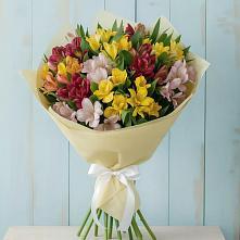 Букет цветов из:  Альстромерии в Константиново Сергиево-Посадского района