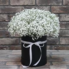 Цветочная композиция из Гипсофила в шляпной коробке #REPLACE_PRED# Константиново Сергиево-Посадского района