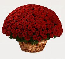 Премиум букет из: Розы в Константиново Сергиево-Посадского района