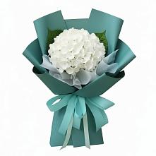 Букет цветов из:  Гортензия в Константиново Сергиево-Посадского района